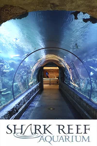Attraction-aquarium
