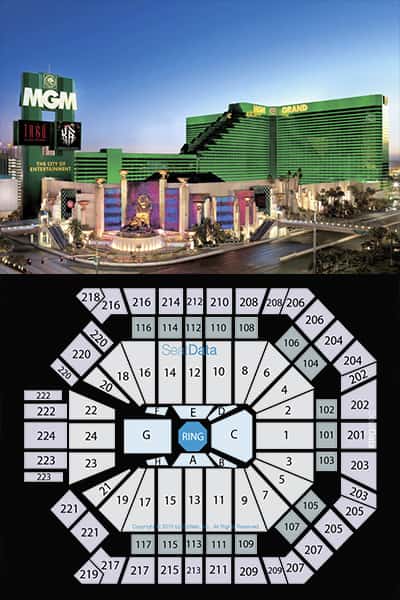 MGM Arena Vegas